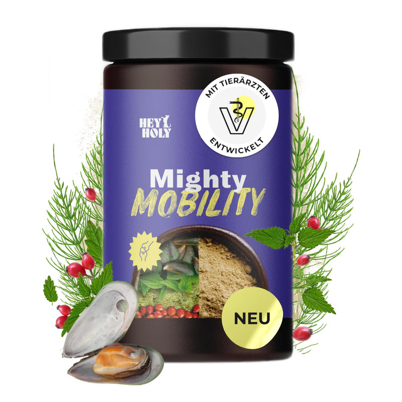 HEY HOLY Premium Joint Powder Dogs Mighty Mobility Green-Lipped Mussel Dog Joint & Bone Protection for Dogs 200 g Supports Joint Pain & Preventive Alternative to Joint Tablets