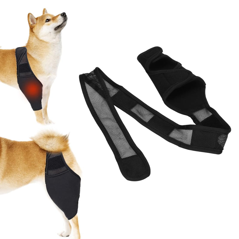 EIHI Knee Support Dog Rear Leg for Left Leg - Made of Neoprene, for Cruciate Ligament Tear, Ligament Injuries, Patella Luxation or Osteoarthritis - Size M