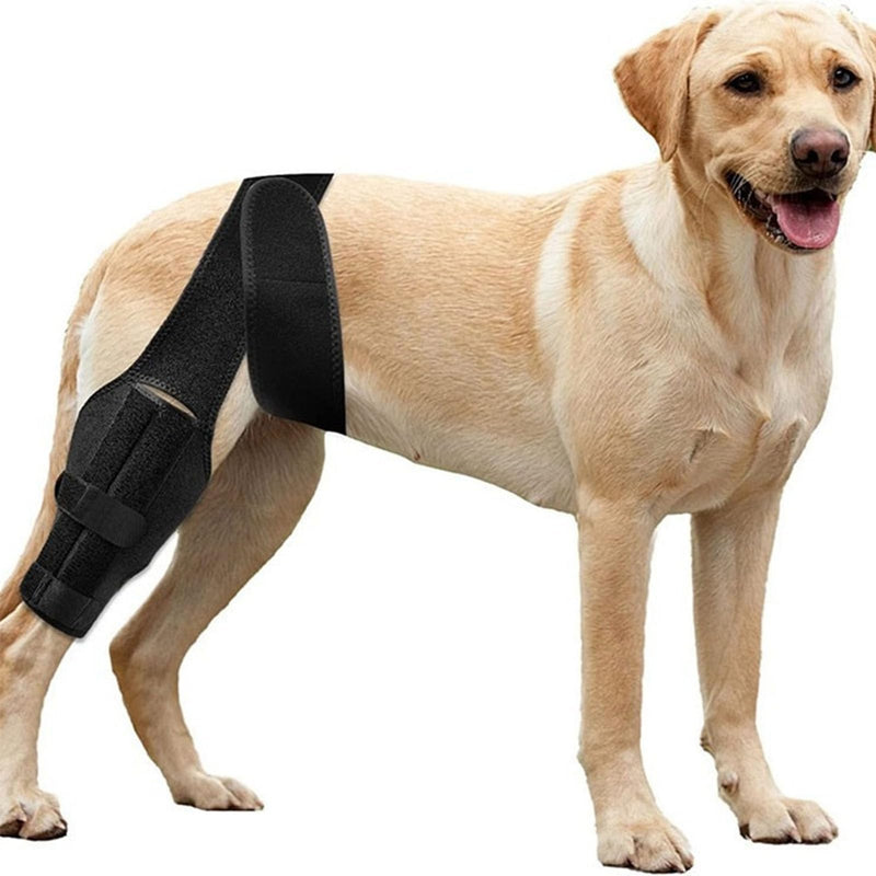 Dog Knee Supports for Hind Leg, Adjustable Dog Support for Rear Leg Support, Knee Brace Dog Rear Leg Changing Harness, for Relief of Joint Pain, Lick Protection (S)