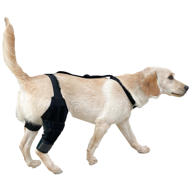 Generic knee brace for dogs | Jumping brace | Rear support | Non-slip knee brace with adjustable strap, soft protection for restoring mobility