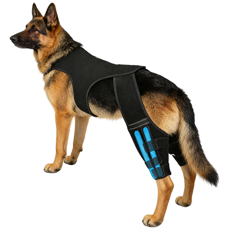 Dog Knee Brace | Knee Support for Dogs (Back) | Adjustable Knee Cuff with 4 Metal Stabilizers | For Walks, Hikes, Training, Outdoor Activities, Park and Travel, Black XL