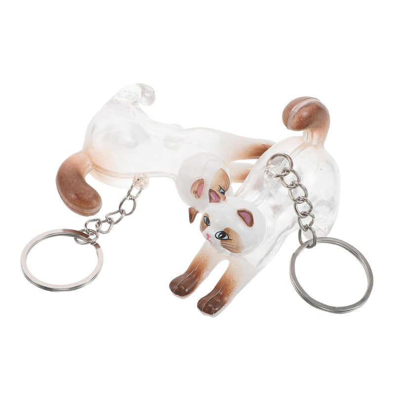 2 Pieces Transparent Cat Hair Container Organizer Made of Plastic and Alloy with Cat Shape Portable Keepsake Box Keyring for Everyday Use and Special Occasions
