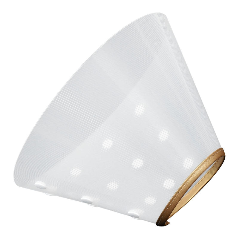 Adjustable plastic kitten cone for wound healing in kittens and cats; protective collar for pets after skin irritations
