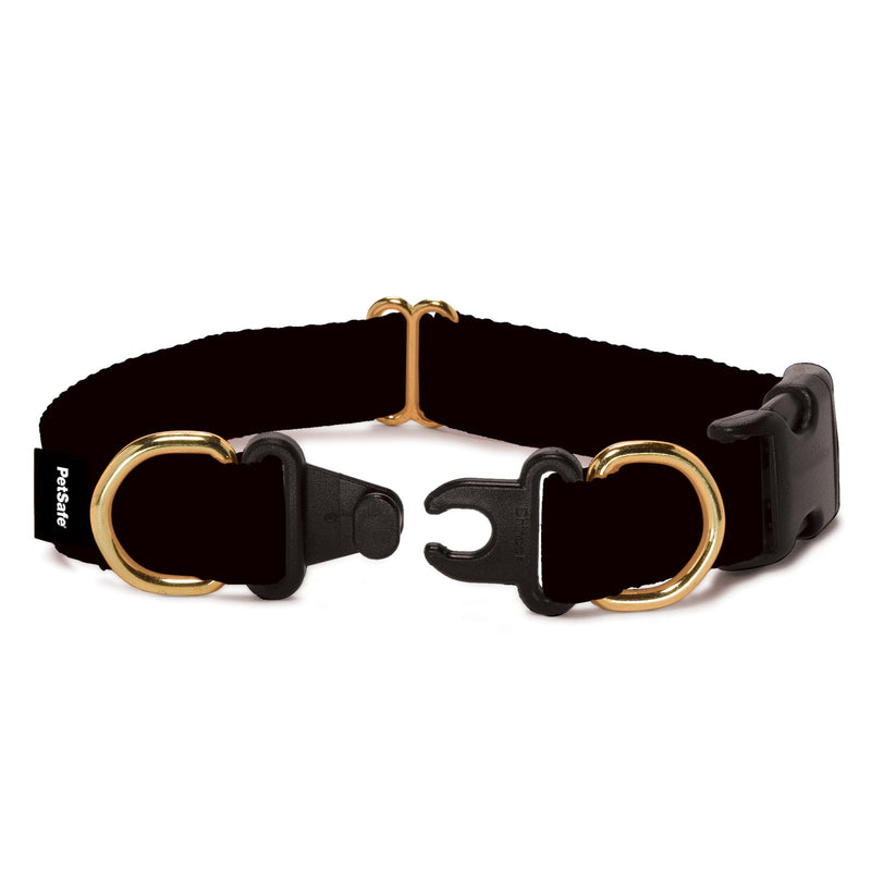 PetSafe KeepSafe Collar for Dogs - Protects Against Collar Accidents - Long Lasting - Durable - Adjustable - Breakaway - Outdoor-Safe - Large - 1 in. Wide - Black Large (1 inch)