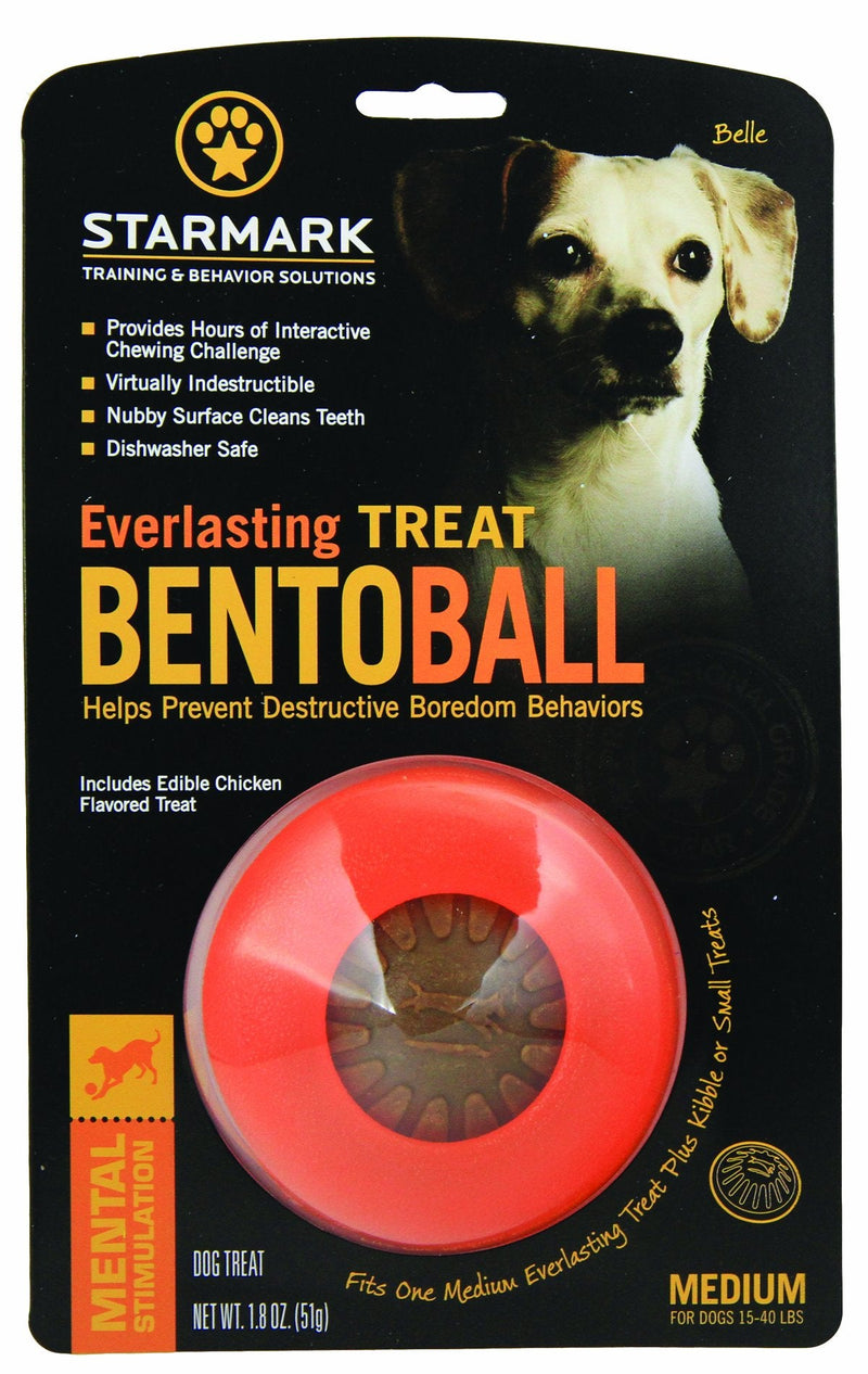 Starmark Everlasting Bento Ball for Dogs, Medium - PawsPlanet Australia