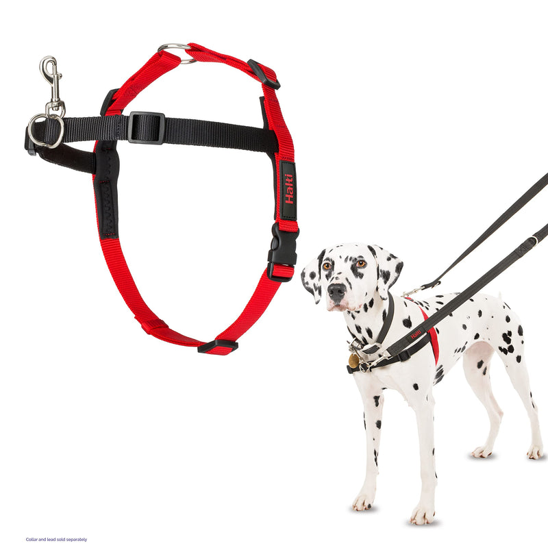 HALTI Front Control Harness, Size Medium, Bestselling Professional Dog Harness to Stop Pulling on the Lead, Easy to Use, Anti-Pull Training Aid, Front Leading No Pull Harness for Medium Dogs - PawsPlanet Australia
