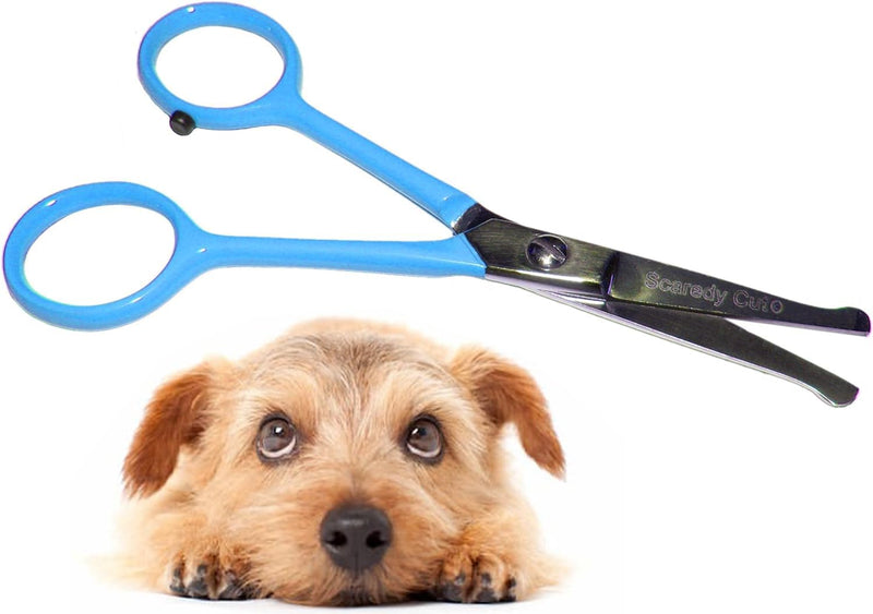Tiny Trim 4.5" Ball-Tipped Scissor for Dog, Cat and All Pet Grooming - Ear, Nose, Face & Paw - Scaredy Cut's Small Safety Scissor Blue Tiny Trim Safety Scissor