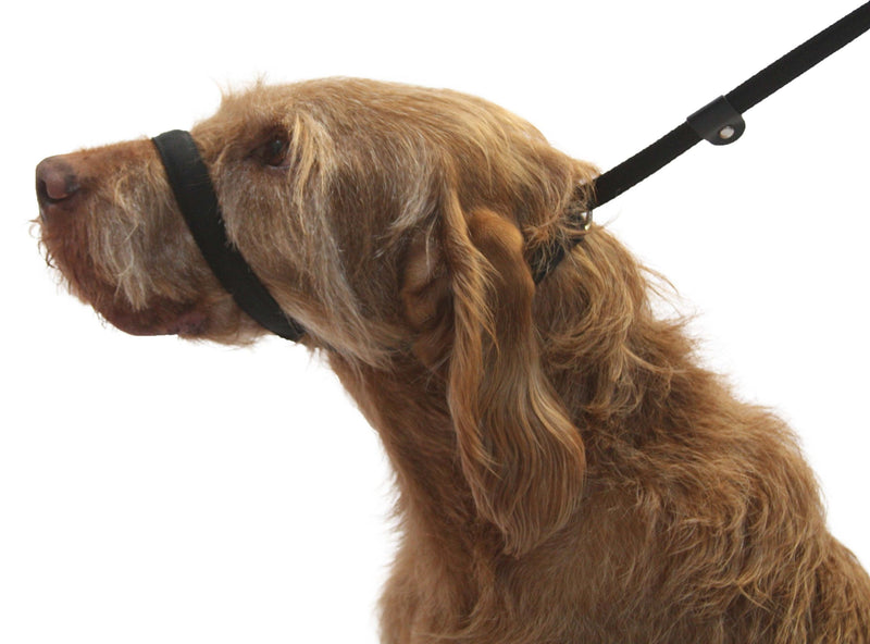UniWalker Figure of 8 Training Lead for dogs that pull. With collar strap included. 3 leads in 1. Black