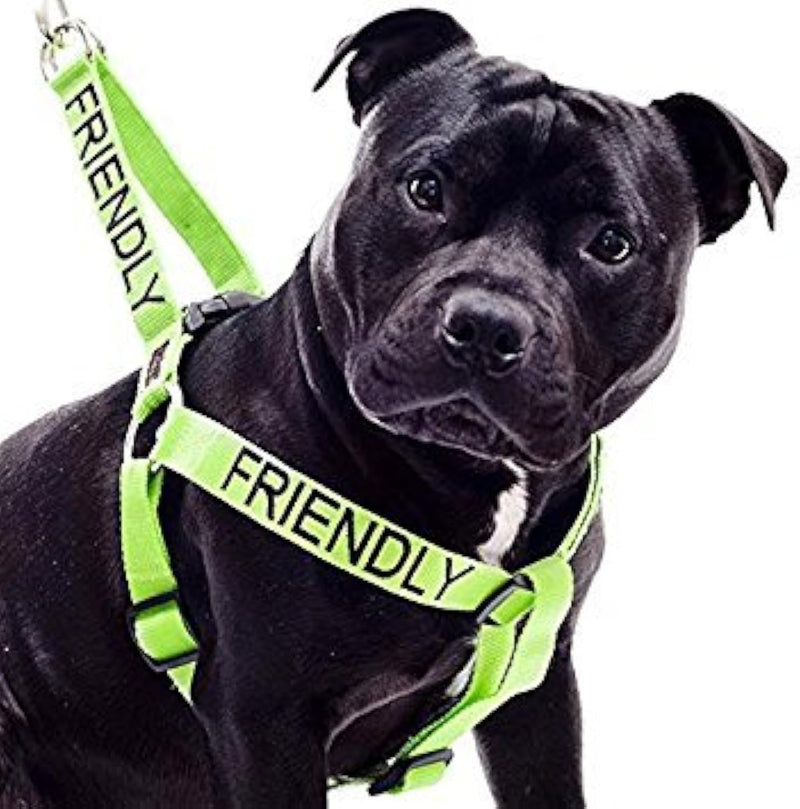 Dexil FRIENDLY (Known as Friendly to all) Green Colour Coded Non Pull L-XL Dog Harness PREVENTS Accidents By Warning Others Of Your Dog In Advance - PawsPlanet Australia