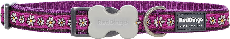 Red Dingo Bucklebone Dog Collar Design, Daisy Chain Purple, Medium 20mm M (Pack of 1)