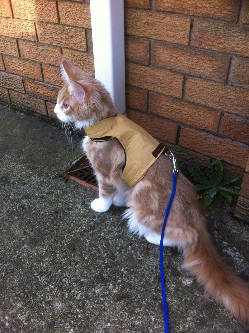 Mynwood Cat Jacket/Harness Caramel Kitten up to 8 month - PawsPlanet Australia