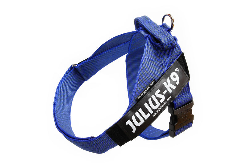 Julius-K9, IDC Color & Gray Belt Harness, Size: 2XL / 3, Blue-Gray 2XL/3