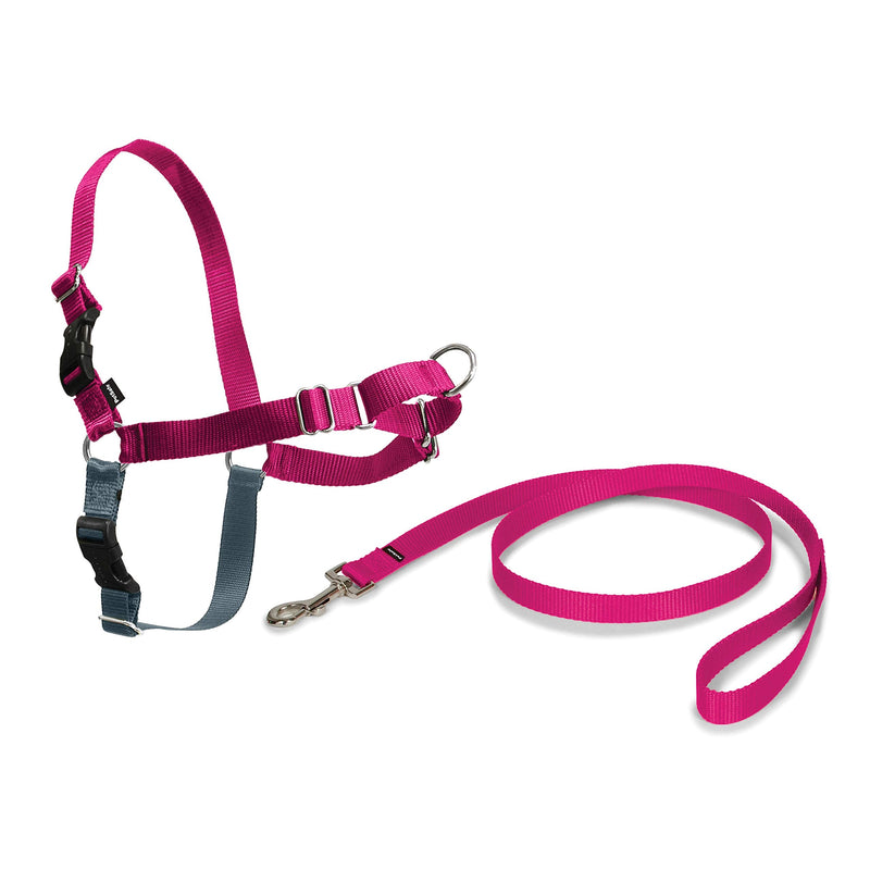 PetSafe Easy Walk Harness, No-Pull Walking Harness for Dogs, Adjustable Fit, Includes 1.8m Lead, Medium-Raspberry, Medium Raspberry - PawsPlanet Australia