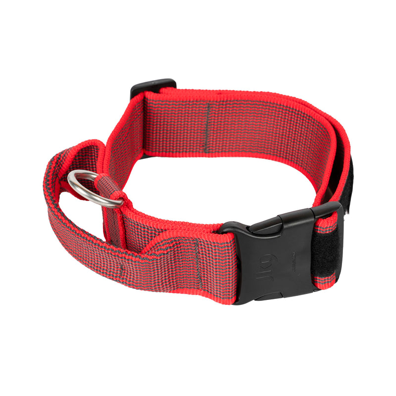 Julius-K9 Color and Gray Collar with Handle and Interchangeable Patch, 50 mm (49-70 cm), Red-Gray - PawsPlanet Australia