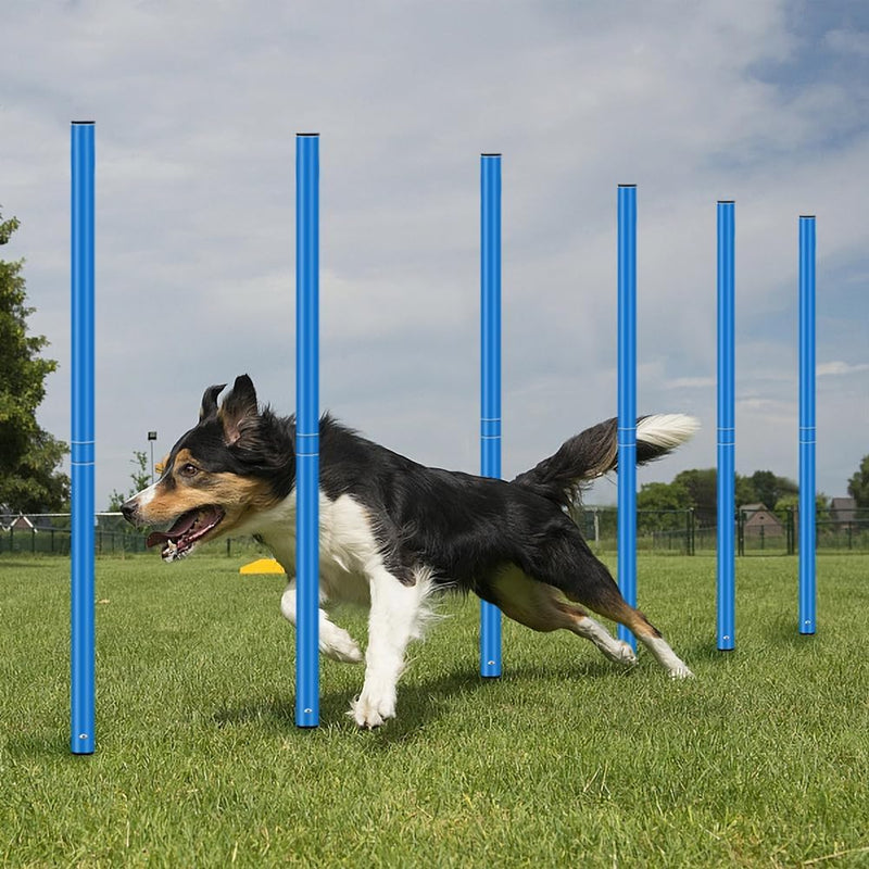 PaylesswithSS Dog Agility Weave Poles - PawsPlanet Australia