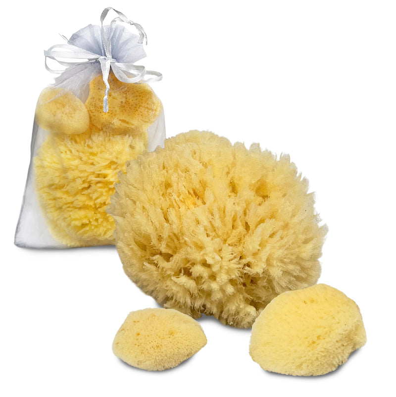 Sea Sponges for Dogs - Luxury Canine Bath Care, for Pet Grooming, Soft & Gentle Pampering - PawsPlanet Australia