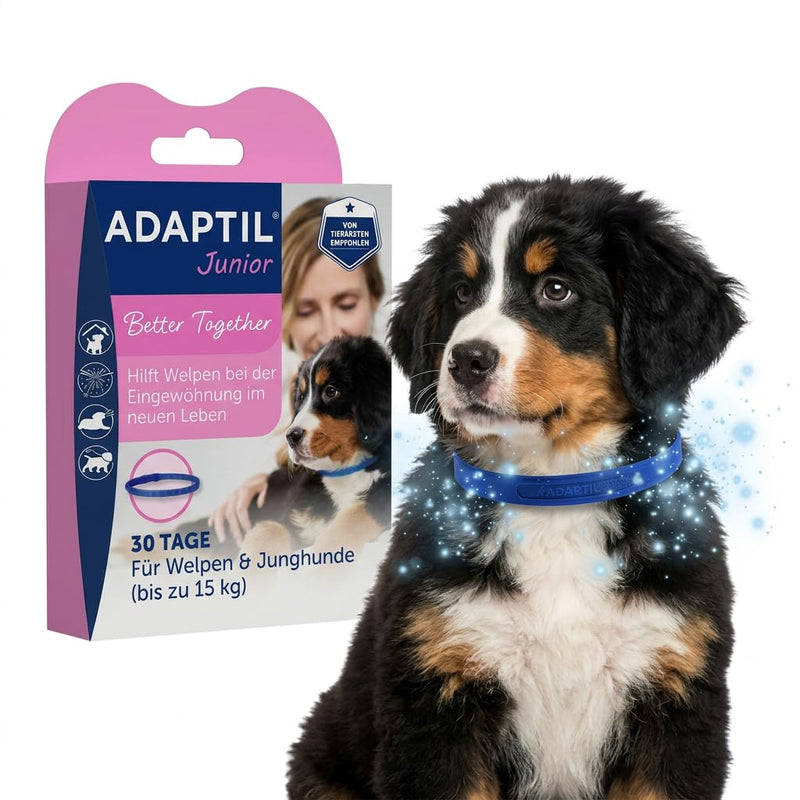 ADAPTIL Junior Puppy Collar - Blue, Size S, For Puppies Up To 37.5kg/15kg, Supports Acclimatization & Training, Uses Dog Appeasing Pheromones, Recommended For All Breeds pheromone collar