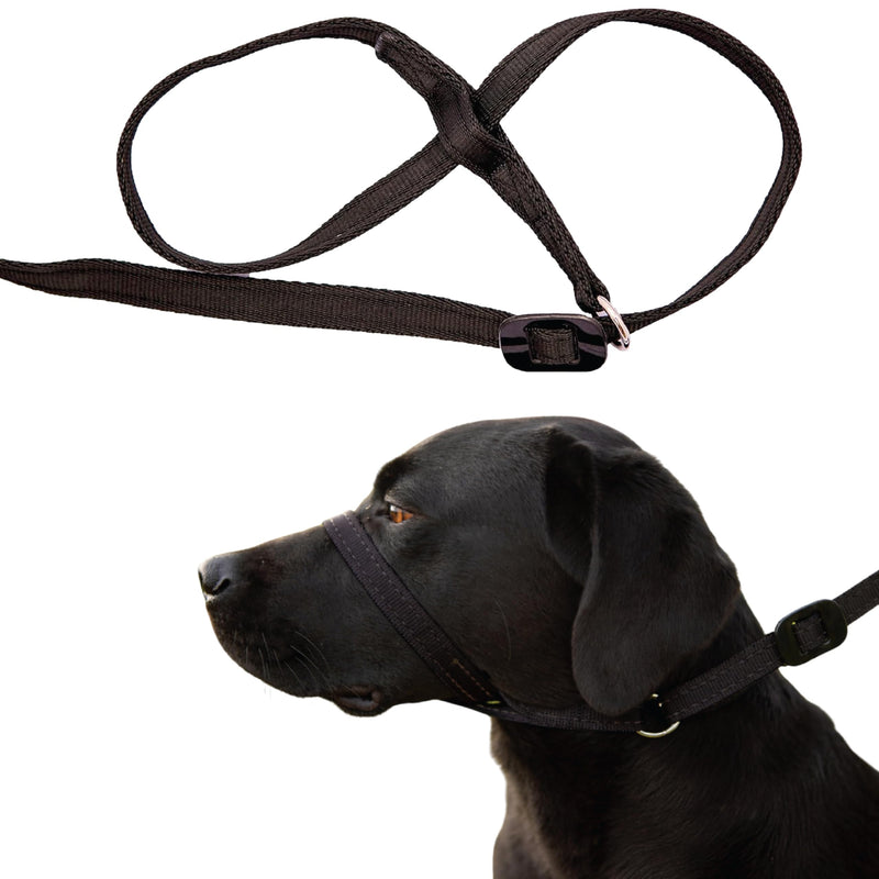 Large Anti Pull Dog Headcollar - Trainer Approved - Soft & Gentle Control - Practical Dog Training & Behaviour Aid - Left Hand - UK Made - Doesn't Include Lead - Black Large - PawsPlanet Australia