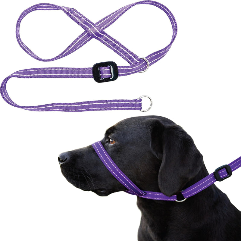 Medium Size Anti Pull Dog Headcollar - Trainer Approved - Soft & Gentle Control - Practical Dog Training & Behaviour Aid - Right Hand - UK Made - Doesn't Include Lead - Purple/Pink Medium - PawsPlanet Australia