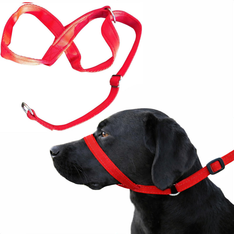 Extra-Wide Anti Pull Dog Headcollar - Trainer Approved - Soft & Gentle Control - Practical Dog Training & Behaviour Aid - Right Hand - UK Made - Doesn't Include Lead - Red Large | X-Wide - PawsPlanet Australia