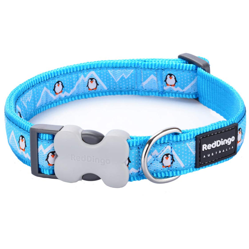 Red Dingo Bucklebone Dog Collar Design, Penguin Turquoise, Medium 20mm - PawsPlanet Australia