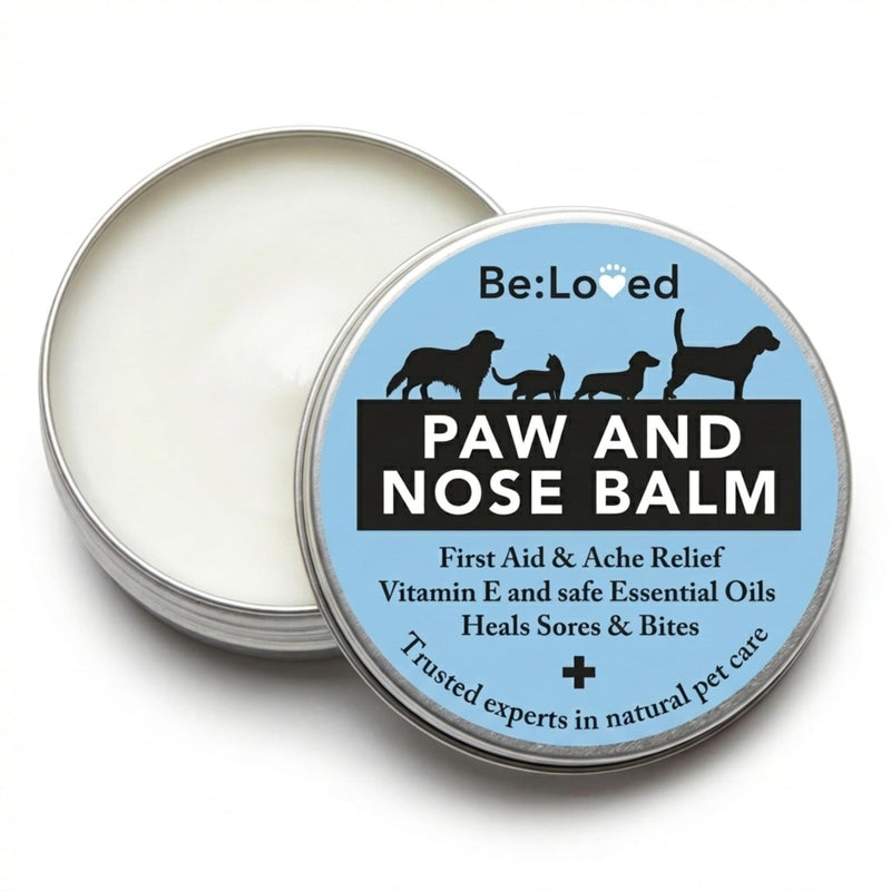 Be:Loved - Be:Safe First Aid Dog Nose & Paw Balm - Natural Relief for Scratches, Grazes and Minor Irritations - With Vitamin E, and Shea Butter - Handmade in the UK - 60g Paw And Nose Balm B1