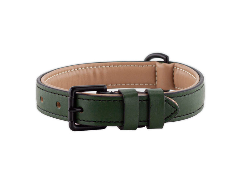 Brute Strength Leather Dog Collar - Dark Green - M - 36-43 cm - PawsPlanet Australia