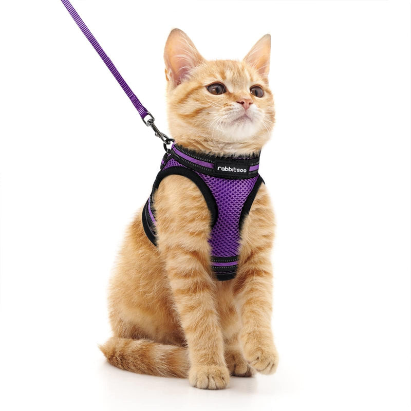 rabbitgoo Cat Harness and Leash Set for Walking Escape Proof, Adjustable Soft Kittens Vest with Reflective Strip for Extra Small Cats, Comfortable Choke-Proof Outdoor Vest Harness, Purple, M M (Pack of 1) - PawsPlanet Australia