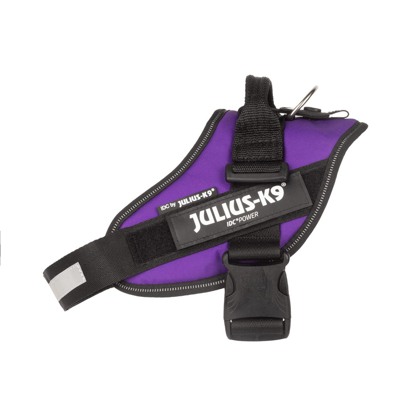 JULIUS-K9 IDC Powerharness, Size: M/0, Dark Purple - PawsPlanet Australia