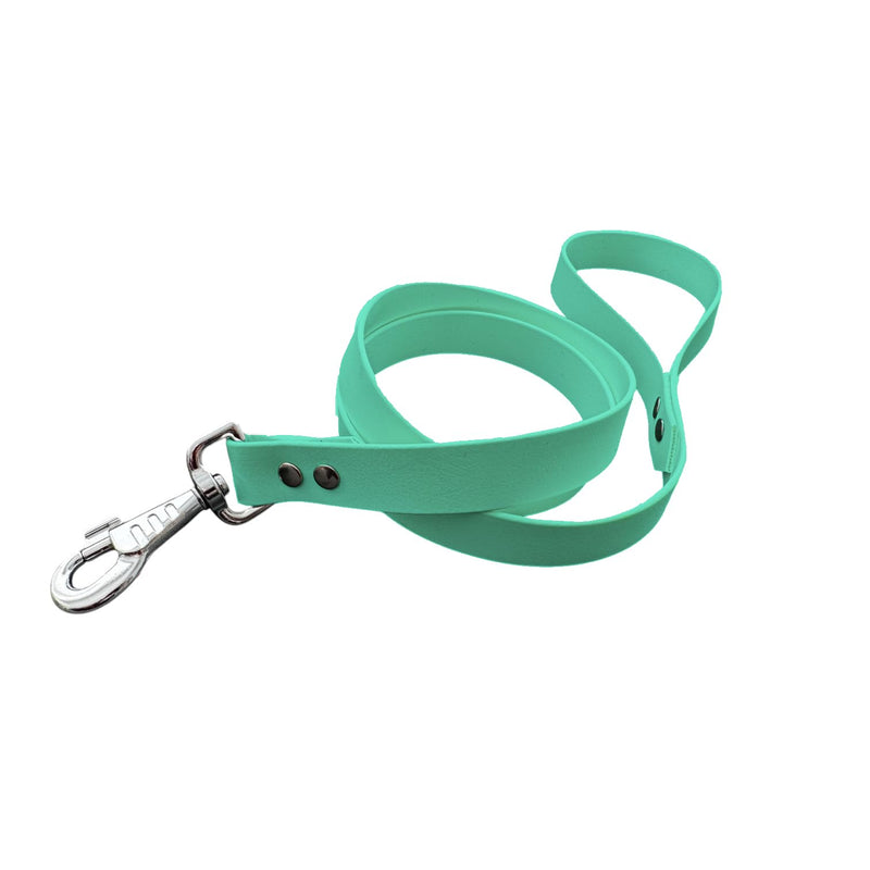 L'Atelier du Fourmilier Dog Leash in BioThane material, Width 25 mm (Caribbean Green)