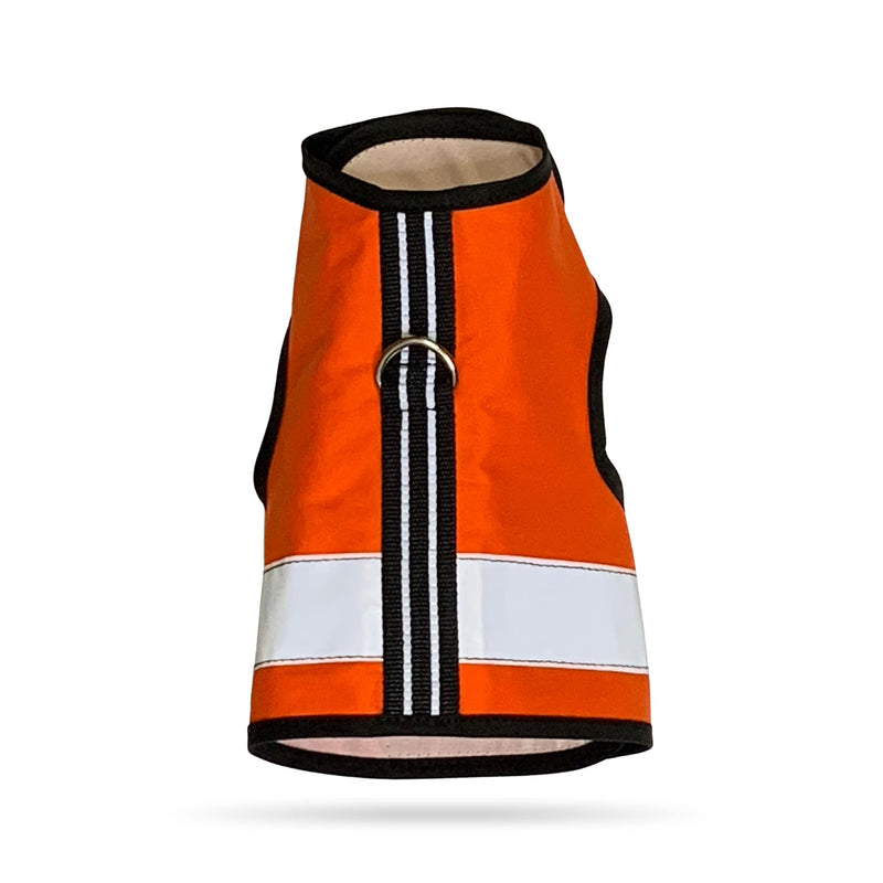 Kitty Holster Reflective Cat Harness, High Visibility Cat Vest for Day and Night - Safe, Breathable and Washable Cotton, Ideal for Walking and Travel, Orange, Small to Small/Medium Outrageous Orange - PawsPlanet Australia