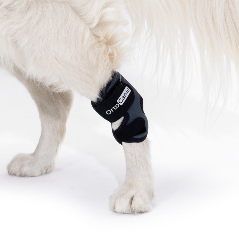 Ortocanis - Tarsal Support for Dog - Ankle Brace for Arthritis, Tarsal and Ligament Injuries, Osteoarthritis, Tendon Inflammations - Made of ARD Neoprene - Size: S 12,5-14 cm - 10.5-12 cm Size S.