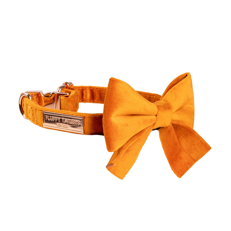 Orange Velvet Luxury Adjustable Dog Collar Bowtie Comfortable Dog Collar with Detachable Bow Tie & Safety Buckle - Suitable for Puppy & Small Medium Dogs(Medium) - PawsPlanet Australia