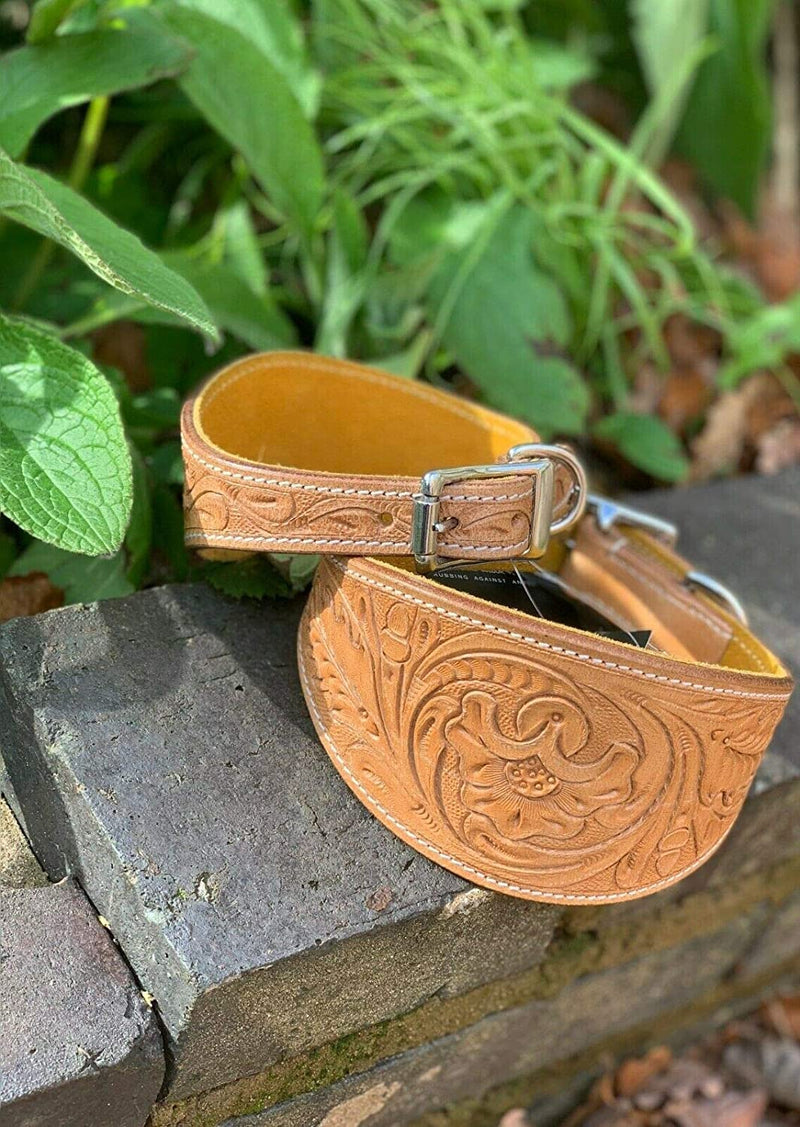 Leather Whippet Dog Collar Hand Tooled Carved Vegetable Tanned Leather Greyhound Saluki Hound Dog Collar (Neck Size 14 Inches to 16.1 Inches, Beige With Yellow Padding) Neck Size 14 Inches to 16.1 Inches - PawsPlanet Australia