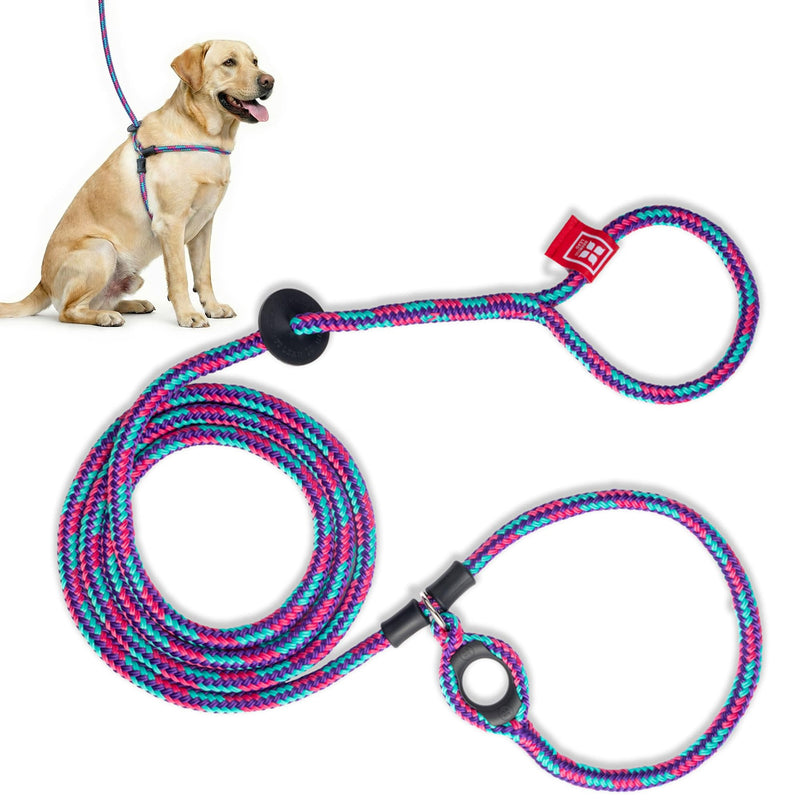 Harness Lead No Pull Dog Harness and Leash Set, No Pull Dog Harness for All Breeds and Sizes, One-Piece Padded Rope Design Prevents Escape and Pulling Medium/Large (40-170 lbs) Reef (Purple/Raspberry/Turquoise)