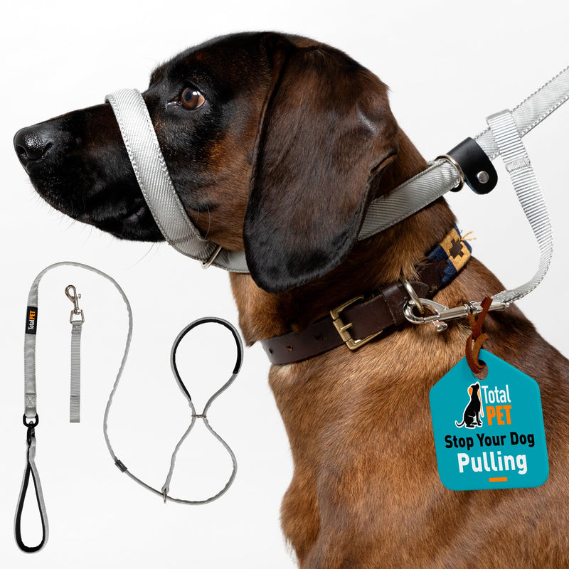 Total Pet Figure of 8 Dog Lead Flat with Anti Tangle Swivel Mechanism – Anti Pull Stop Dogs Pulling – Slip Leads Reflective with Padded Nose Support - (Grey, 210cm) Grey