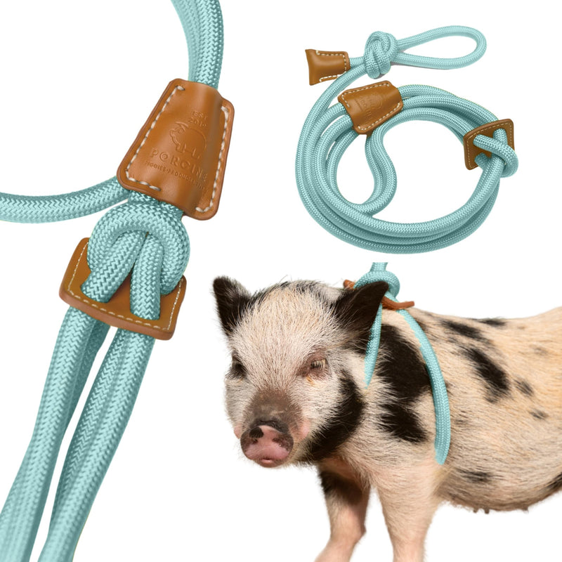 Mini Pig Harness & Leash (S/M) - Fully Adjustable, Infinity Style Lead, Step-in Harness, Potbelly Supplies, All-in-One - Ideal for Small & Medium Pet Pigs (Small, Eggshell Blue) S/M