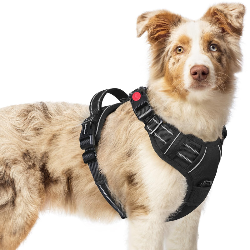 rabbitgoo Dog Harness Medium with Neck Release Buckle, Adjustable No Pull Harness with Front Back Clips, Soft Padded with Easy Control Handle, Reflective Pet Walking Vest, Black, M M (Pack of 1) - PawsPlanet Australia