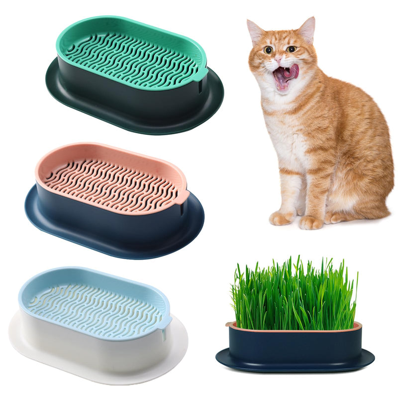 3 Pcs Cat Grass Planter Catnip Cat Grass Box Hydroponic Cat Grass Box Cat Grass Tray Cat Grass Container Cat Grass for Indoor Cats for Planting Cat Grass