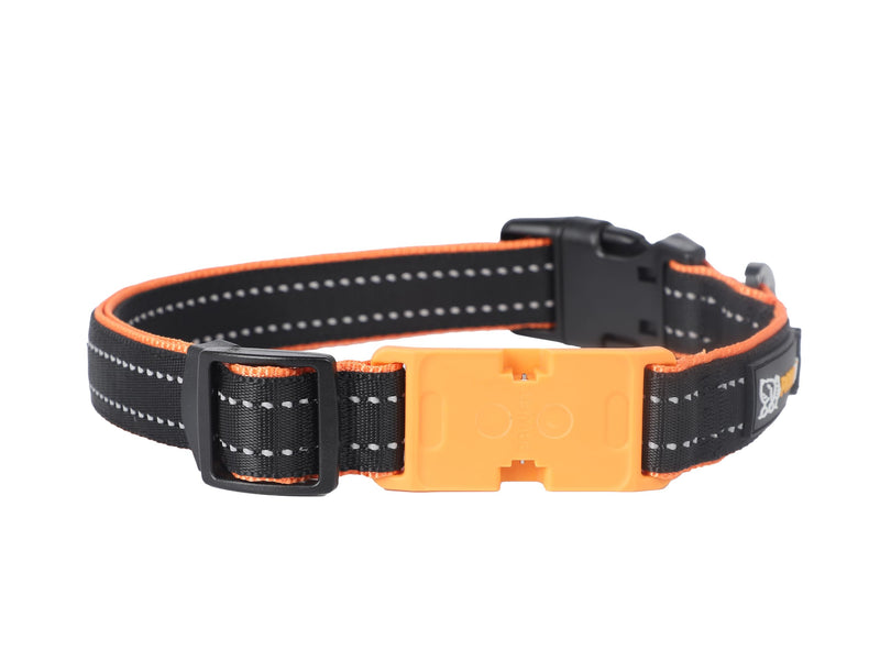 Pawfit 3 Series Collar, Nylon Dog Collar with Safety Buckle, Adjustable Pet Collars with Quick Release Buckle (Black & Orange, Extra large) Black & Orange - PawsPlanet Australia