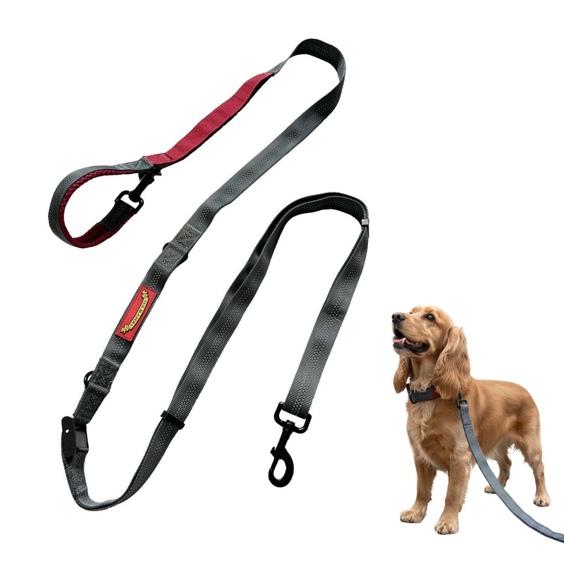 Retractable Dog Lead – Extendable Slip Lead for Small, Medium & Large Dogs, Hands-Free Anti Pull Leash with all harness Compatibility 1.5 to 2.5M Red.Grey One Size - PawsPlanet Australia