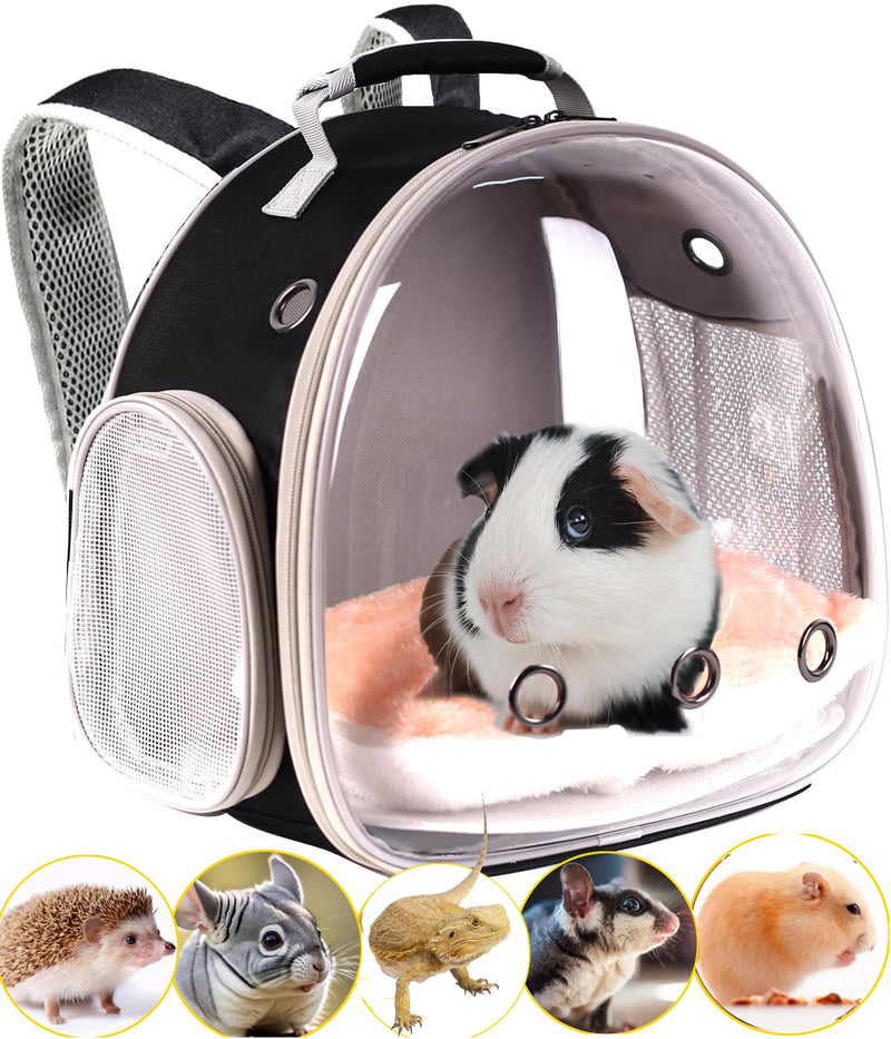 Bearded Dragon Travel Carrier, Space Capsule Clear Bubble Window Small Animal Travel Backpack for Hedgehog Rat Parrot Bird Bearded Dragon, Snake,Airline Approved (Black, Backpack) Black-Mat - PawsPlanet Australia