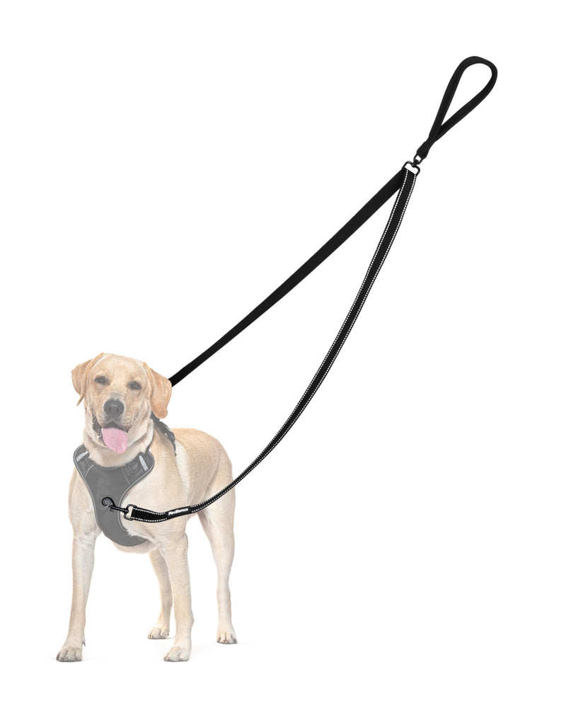 PetBonus Two Point Control Dog Lead, Works with No Pull Harnesses, No Tangle Training Leads, Soft Padded and Reflective Walking Lead, Converts to Single Lead for Medium Large Dogs (Black) Black - PawsPlanet Australia