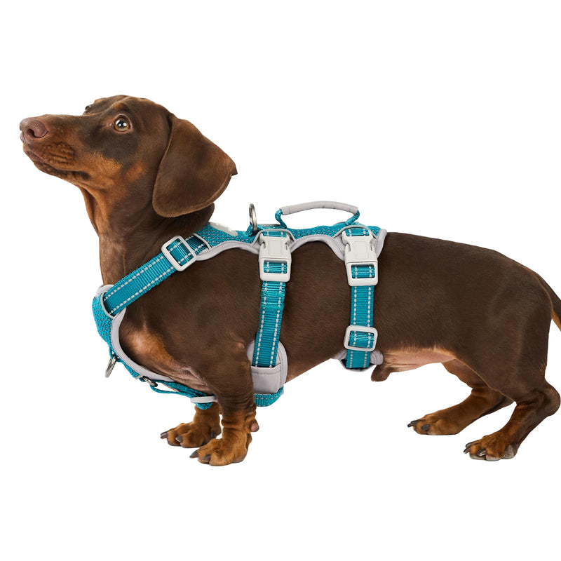 Huntboo Escape Proof Dog Harness, Secure Dog Harness No Escape, Fully Reflective Harnesses with Handle, Breathable, Durable, Adjustable Vest for Small Dogs Walking, Training & Running Gear(Teal,XS) X-Small(Pack of 1) Blue - PawsPlanet Australia