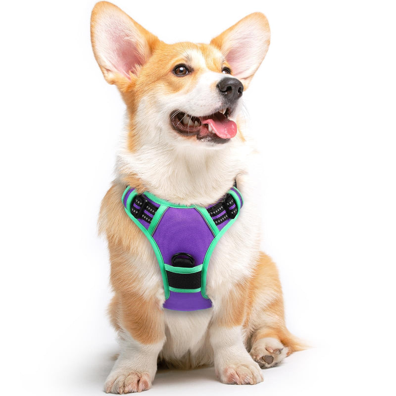 Eagloo Dog Harness Medium, No Pull Harness with Front Back Clips, Adjustable Dog Walking Vest, Soft Padded Pet Vest, Reflective No-Choke Breathable with Easy Control Handle, Purple & Green, M M (Pack of 1) - PawsPlanet Australia