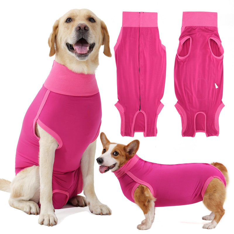 HEYWEAN Dog Recovery Suit - Female Spay Post Op Suit for Dogs After Surgery M Rose