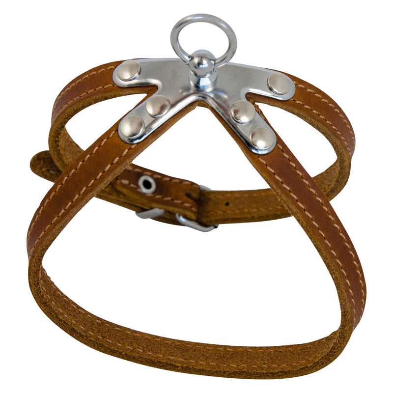 JACK AND VANILLA, Cognac Fat Leather Dog Harness, Optimal Comfort, Elegant Design, Easy to Use, Reinforced Safety, Size 10 mm x 25 cm, Cognac, Leather Model - PawsPlanet Australia