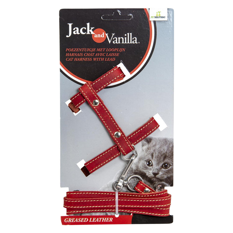 JACK AND VANILLA, Leather Cat Harness with Red Lead, Custom Fit, Stylish Design, Optimal Comfort, Maximum Safety, Size 10 mm, Red, Fat Leather Model 10 mm x 100 cm