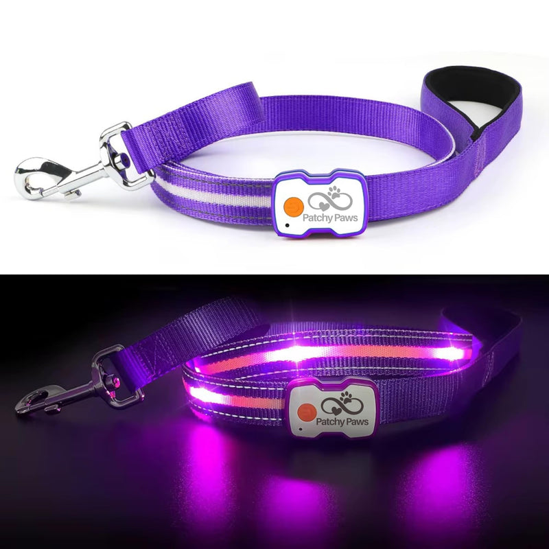 Matching LED Dog Collar & Lead Set – Rechargeable USB-C Light-Up Leash & Glow-in-the-Dark Collar for Night Walks – Durable, Waterproof, Adjustable, Stylish (Purple)