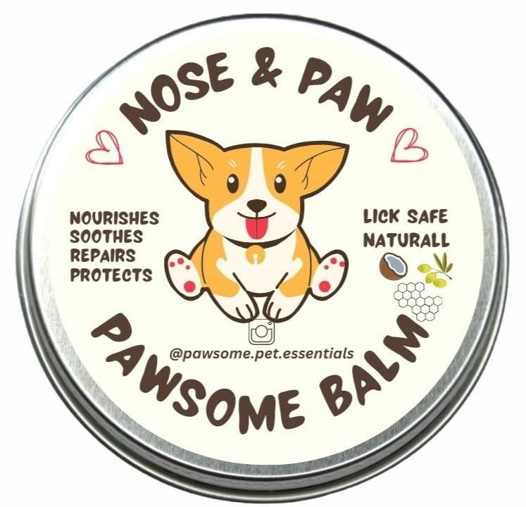 PAWSOME BALM - 100% Natural Dog Paw and Nose Balm - Soothes & Repairs Cracked Paws, Nourishes & Protects, Lick-Safe Moisturizer - Made in the UK - 60g 60 Grams